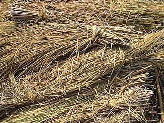 Straw