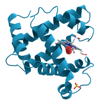 Protein